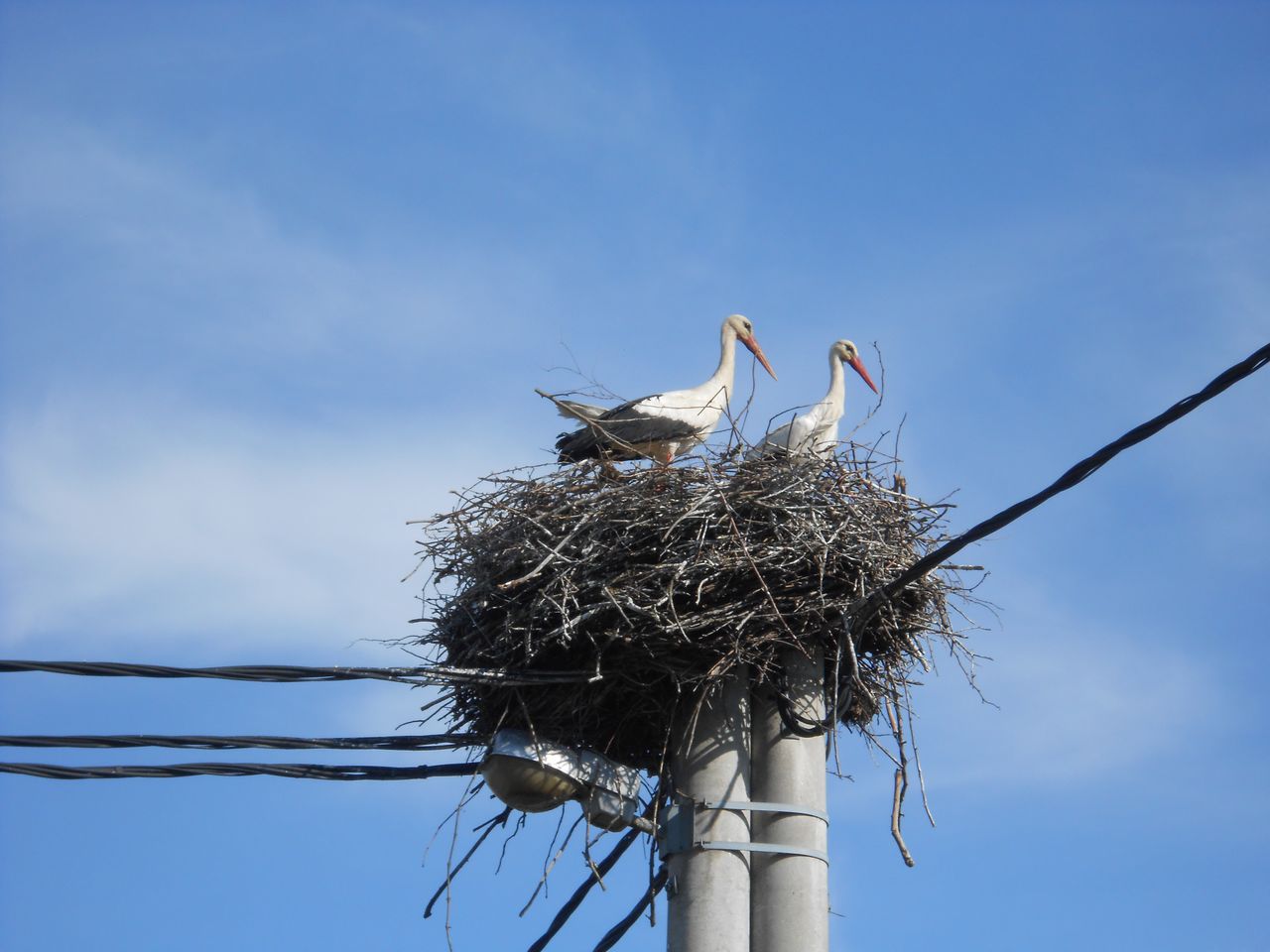 2017 05 prekmurje 001