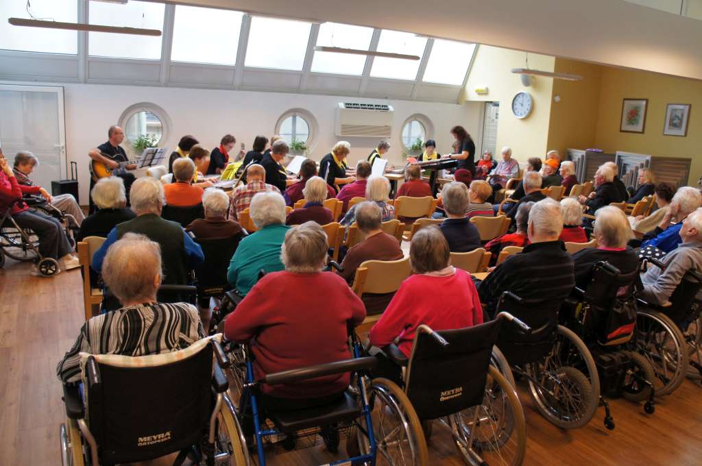 Lipa v Dom upokojencev Domžale