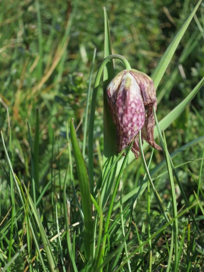 2024 11 19 Ziva voda 1